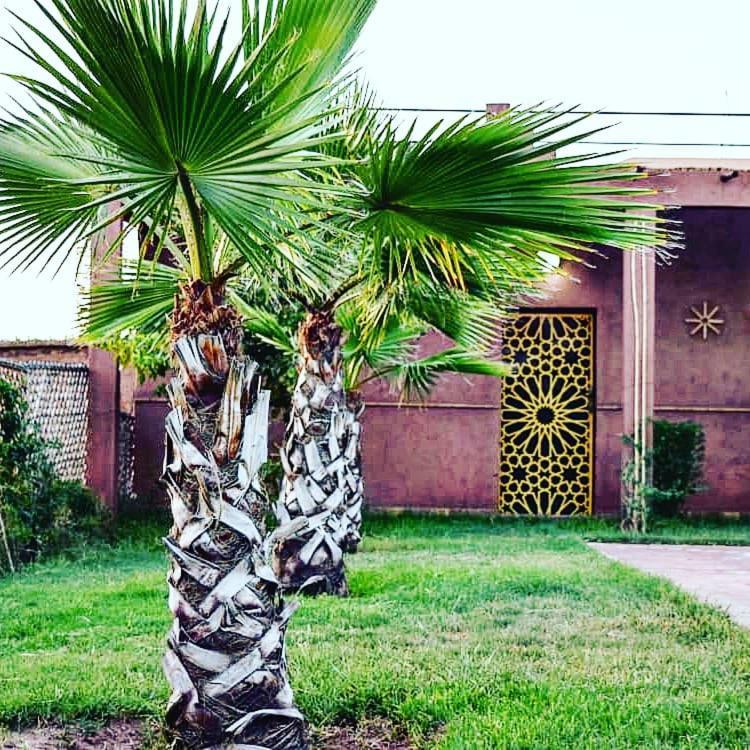Riad Darga Rouge Ouled Bouzid Kültér fotó